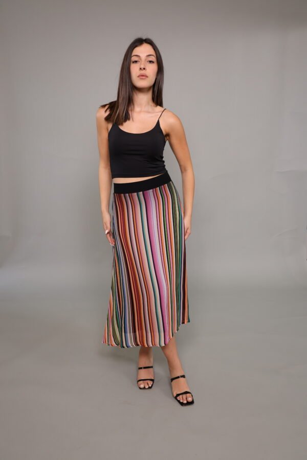 Skirt Princess colored