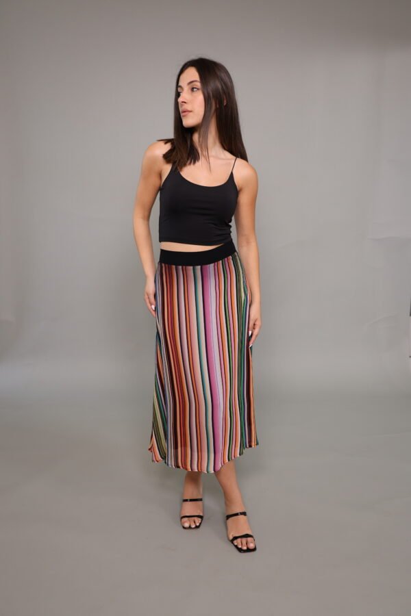 Skirt Princess colored